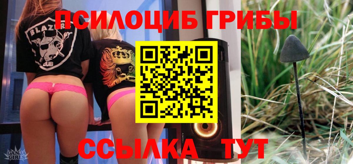 Галлюциногенные грибы мухоморы  Галлюциногенные грибы MAGIC MUSHROOMS  Нурлат  наркота  Вход с VPN 